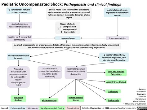 Pediatric Uncompensated Shock Pathogenesis And Clinical Findings