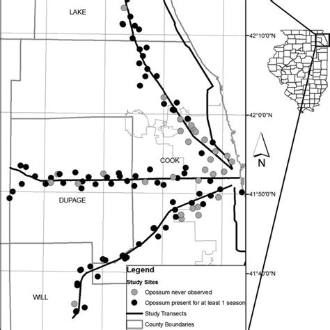 Pdf Habitat Dynamics Of The Virginia Opossum In A Highly Urban Landscape