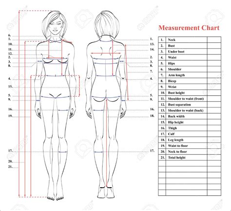Womens Printable Body Measurement Chart