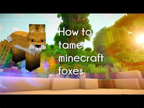 They're scared by nature, so you'll need something they find tasty on hand to lure them in. How to tame a minecraft fox! - YouTube