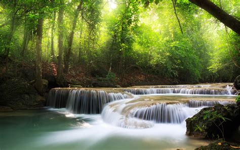 Free Download Forest Waterfall Wallpaper Wallpaperwallpapersfree