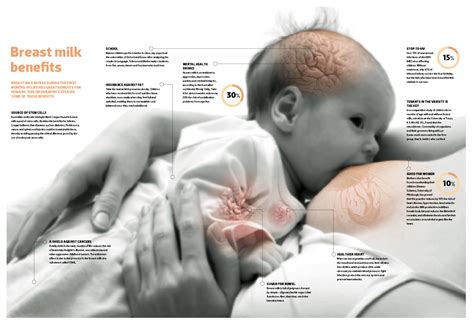 Breast Milk Benefits Visual Ly