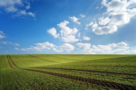 Hd Wallpaper Green Grass Field Greens Clouds Traces Spring Neo