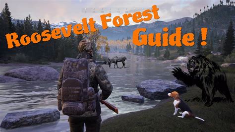 Roosevelt Forest Guidehunting Simulator 2 Youtube