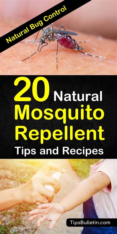 Maybe you would like to learn more about one of these? 20 Natural Mosquito Repellent Tips and Recipes - Natural ...