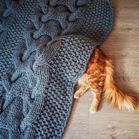 Cutlet The Ginger Cat Is So Majestic He Even Has His Own Hoomin