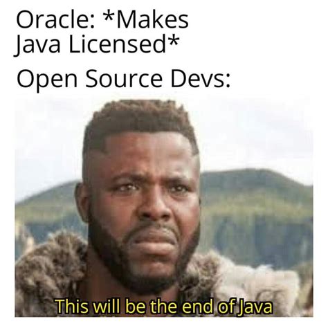 Rip Java Rprogrammerhumor