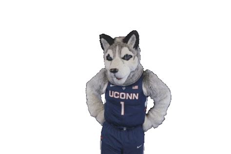 Fight Go Sticker By UConn Huskies For IOS Android GIPHY