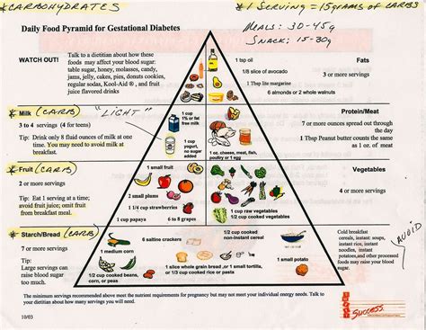Diabetes Food Pyramid Printable 6231 The Best Porn Website