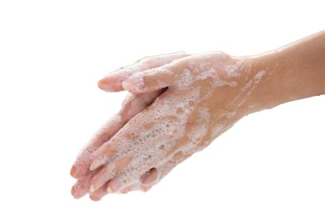Wash Hands Png Images Transparent Background Png Play