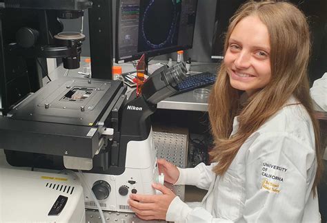 Pancreatic tumor behavior in different environments | Material Research