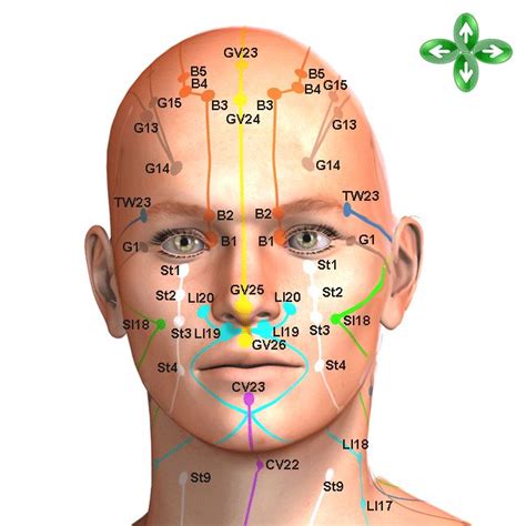 Acu Point Maps For Head Body Legs Shiatsu Massage Acupuncture