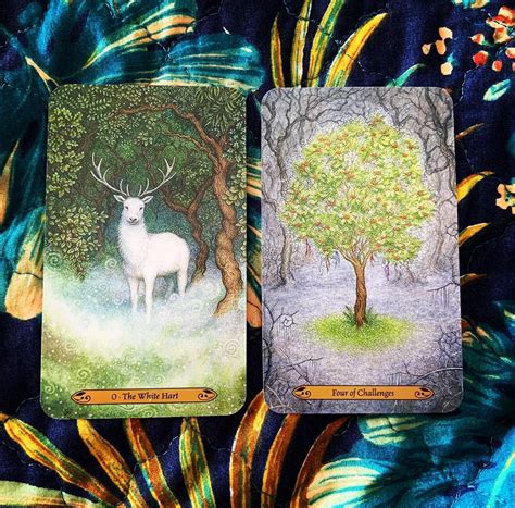 Chitra banerjee divakaruni literally pulls her out of her larger than life husband's shadow and projects her as his equal and a powerful entity in her fascinating book. Bộ Bài Forest of Enchantment Tarot - Khu Rừng Khai Mở Tâm Thức