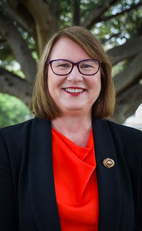 Donna Davis Chris Minns Nsw Labor Leader