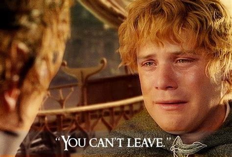 I will try to make new. Lord Of the Rings "You can't leave." Dear Sam--he is so ...
