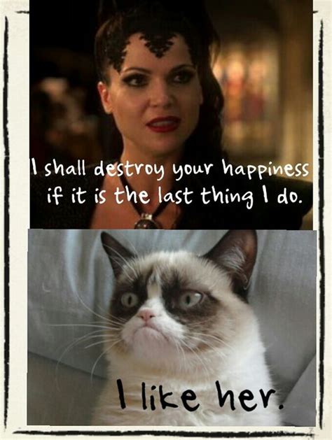 27 Grumpy Cat Funny Memes Quotes And Humor