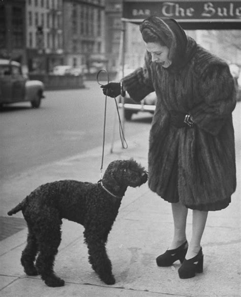 Celebrities Walk Their Dogs In 1940s New York City Photos Image 91