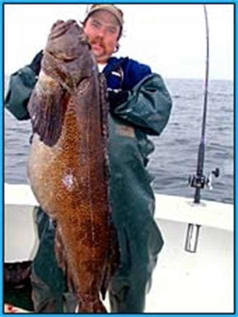 What is the world record for the largest shark caught? Homer Alaska salmon and halibut fishing with Daniel's Personalized Guide Service. Custom salmon ...