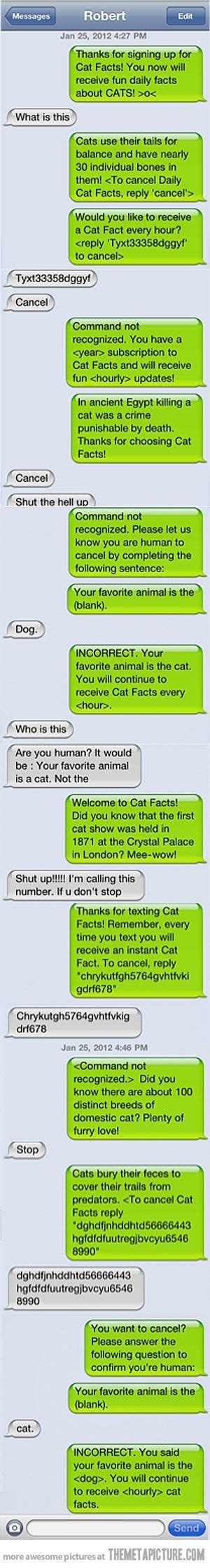 This joke would give the creeps to your girlfriends when they are alone in their apartment at night. The 25+ best Pranks ideas on Pinterest | Awesome pranks ...