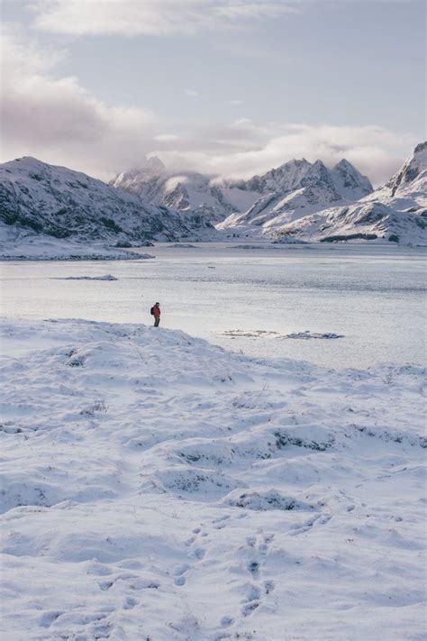 Lofoten In Winter An Arctic Adventure Thetravelblogat Arctic