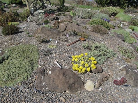 This diy rock garden is so simple to build and you end up with lovely plants in the crevices between your rocks. Tips For A Simple Design Of Rock Gardens