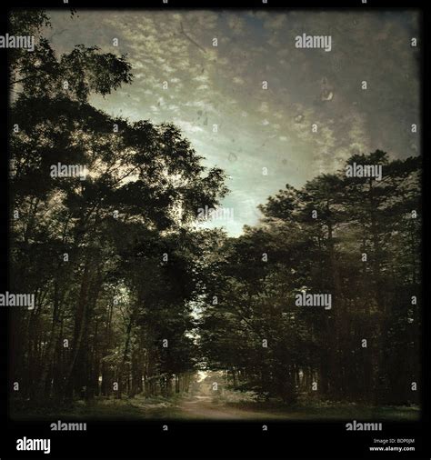 Lonely Woodland Path Hi Res Stock Photography And Images Alamy