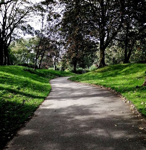 Photo Of A Winding Path Stock Photo Image Of Peaceful 195374800