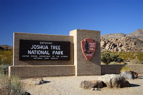The Essential Guide To Visiting Joshua Tree California Afar