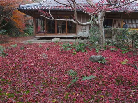 度々行きたい旅。 京都観光：厭離庵にて散り紅葉に侘び寂びの世界を感じる