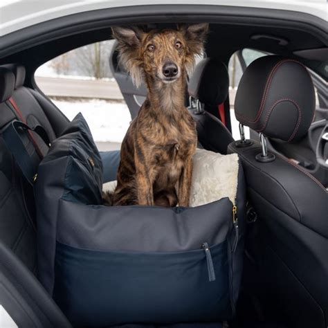 De Beste Honden Autostoel Van Alles Voor Je Labradoodle