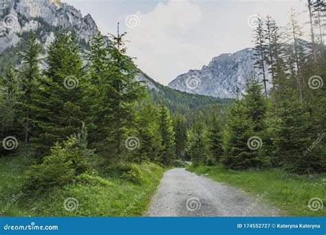 Landscape Green Forest And High Mountains In Europe In Summer Stock