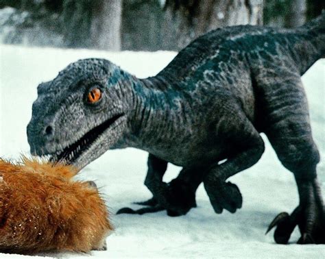 Velociraptor Beta Jurassic Park Know Your Meme