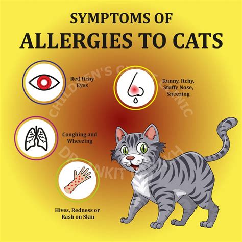 Does Your Child Suffer From Allergies And You Have A Pet At Home Your