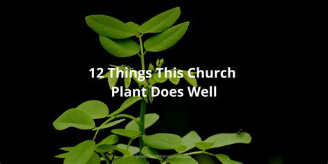 12 Things This Church Plant Does Well Smart Church Management