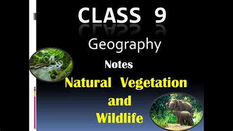 Class 9 Geography Natural Vegetation And Wildlife Ppt Class 9