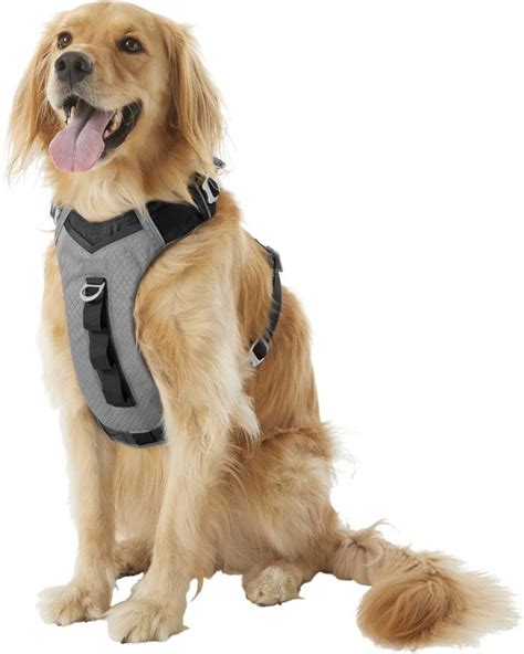Large Dog Harnesses The Best Harnesses For Large Dogs