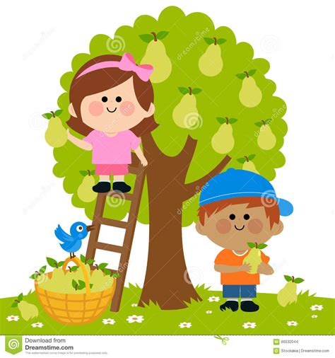 Kids Harvesting Apples Vector Illustration 56239338