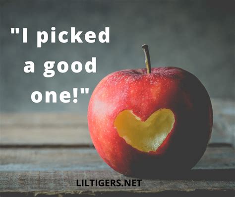Best Apple Quotes Sayings Captions Lil Tigers