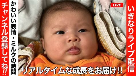 赤ちゃんの成長ライブ配信💕大泣きしたりミルクを飲んだりしてます youtube