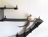 Wall Mounted Cat Beds