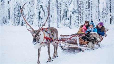Finland Lapland Reindeer Sleigh Ride And Local Snack Tasting Half Day
