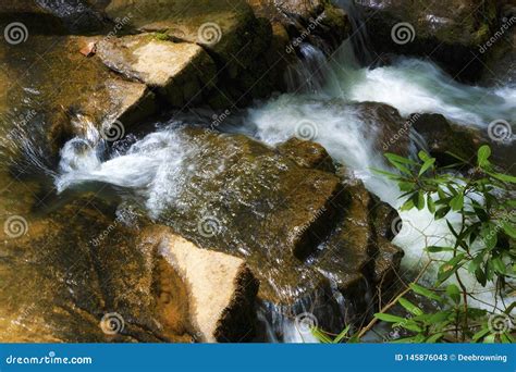 Close Up Of Creek Water Flowing Over Rocks Stock Image Image Of Green
