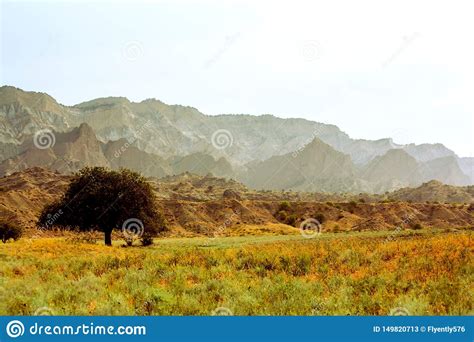Lonely Tree In The Savannah The Mountains Yellow Grass Landscape