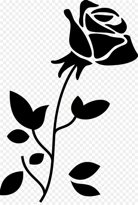 Black And White Rose Vector At Getdrawings Free Download