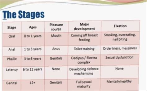 🌷 Latency Stage Of Development 5 Stages Of Human Development By