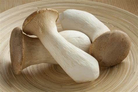 Easy Korean King Oyster Mushroom Recipe 2023 Atonce