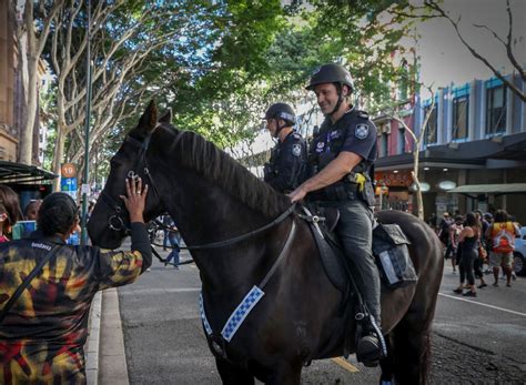 Mounted Unit Offers Unique Perspective On Policing Queensland Police News
