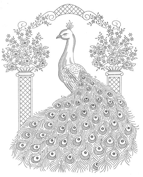 Https://tommynaija.com/coloring Page/adult Coloring Pages Printable Peacock