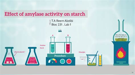 Describe How The Enzyme Amylase Affects Starch Case Has Guerra