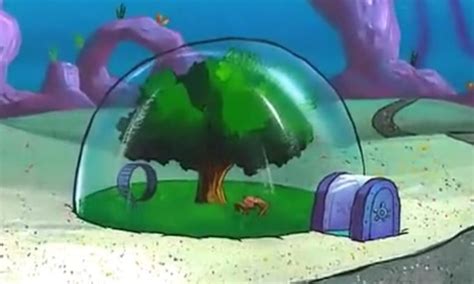 This Epic Tent Looks Just Like Sandy Cheeks House From Spongebob